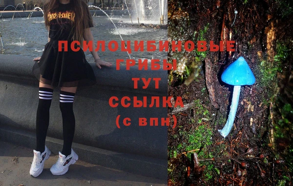 гашиш Карпинск