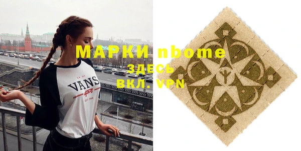 хмурый Касимов