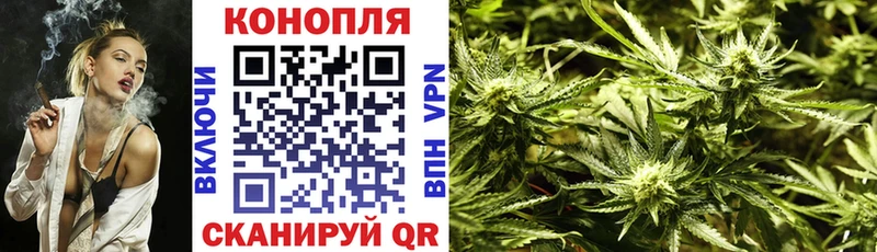 Конопля AK-47  Купить закладки  Голицыно 